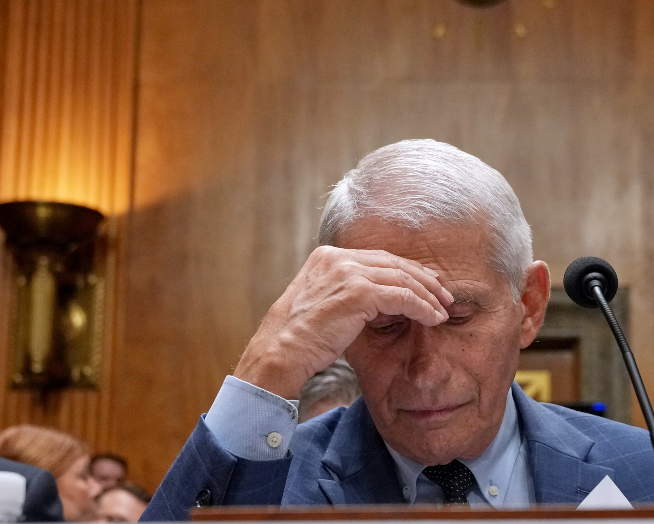 Fauci image